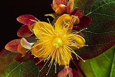 机甲少女动作游戏《Dolls Nest》年内推出